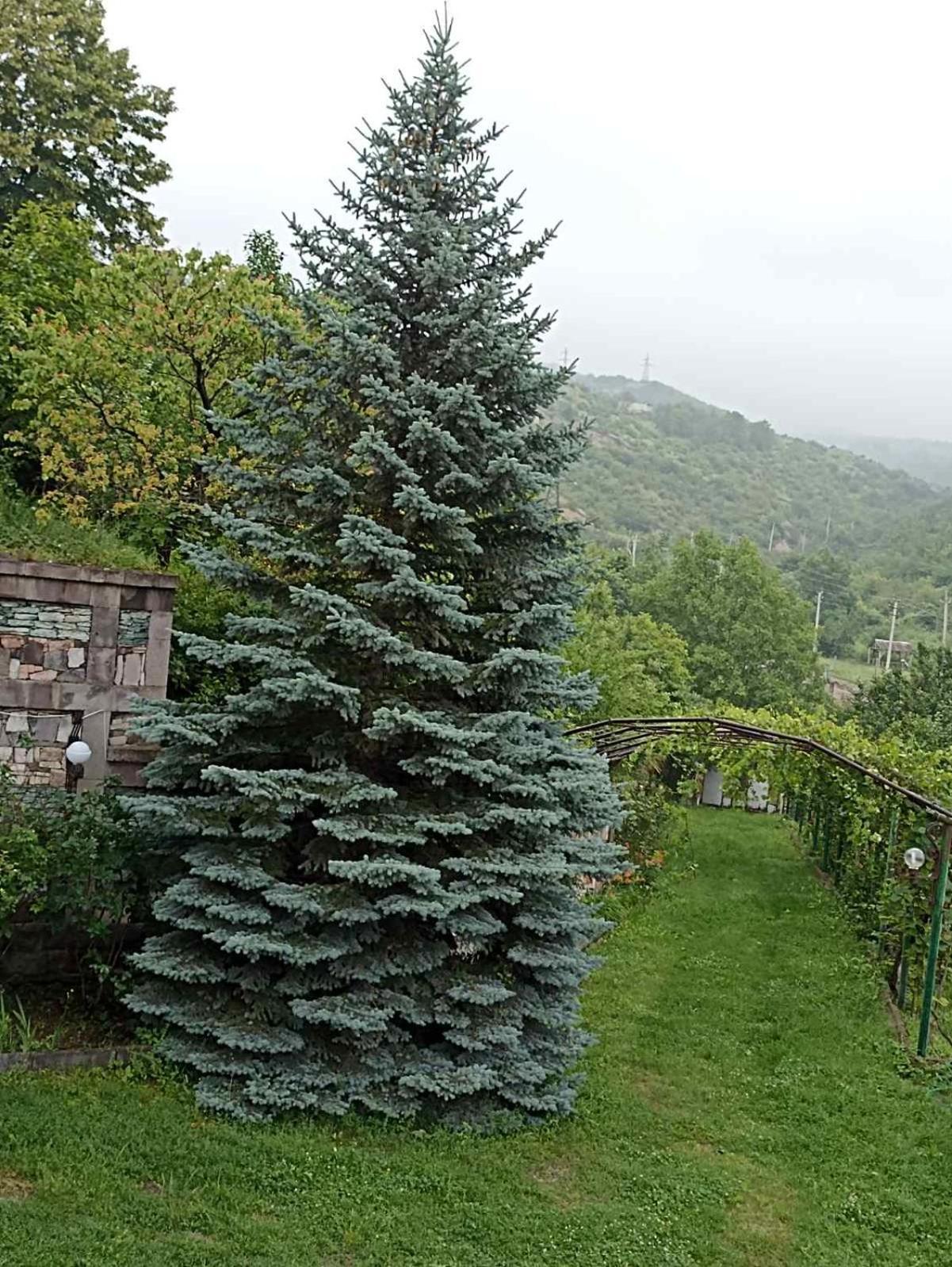 Luse Guest House 이제반 외부 사진
