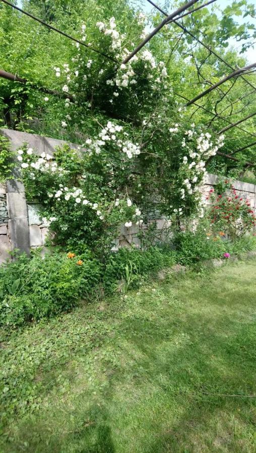 Luse Guest House 이제반 외부 사진